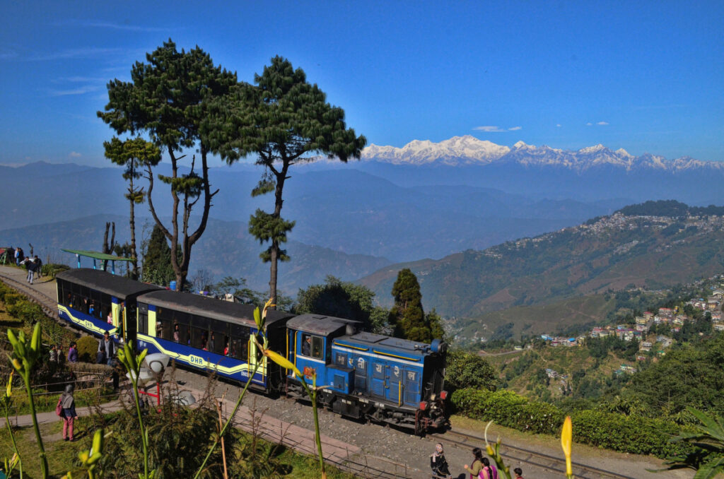 The toy train (Darjeeling Himalayan Railway)