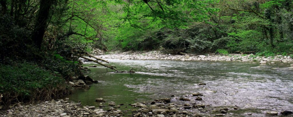 River little Rangeet at Bijanbari 