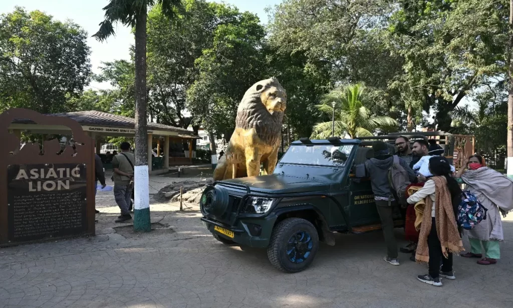 Bengal Safari