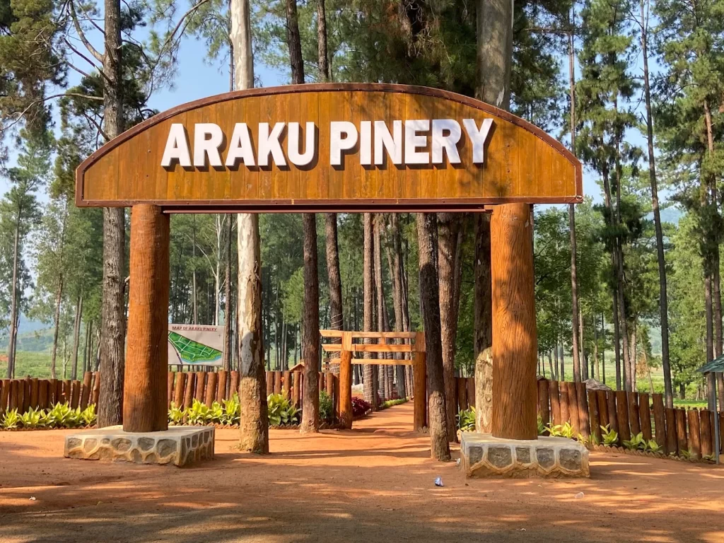 Araku Pinery